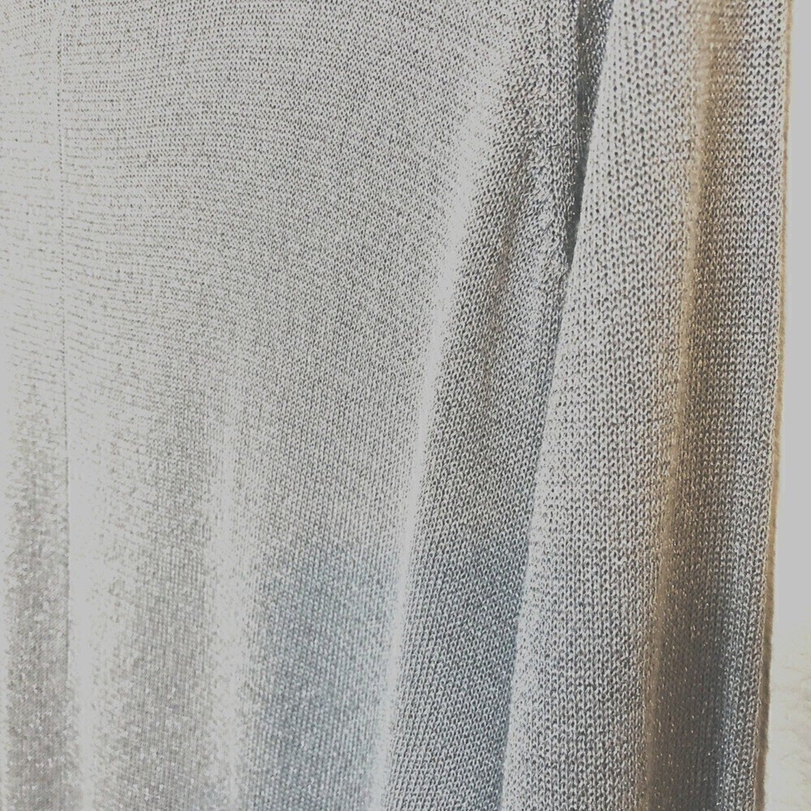 Joseph A. Women's Silver / Sparkle Silk Top Size (M)